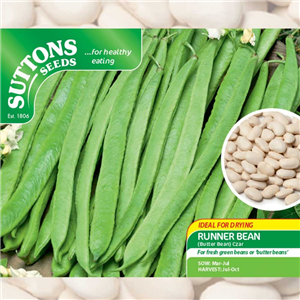 Bean Dried Runner (Runner Butter) - Czar